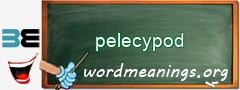 WordMeaning blackboard for pelecypod